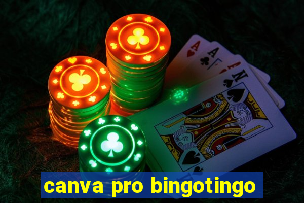 canva pro bingotingo